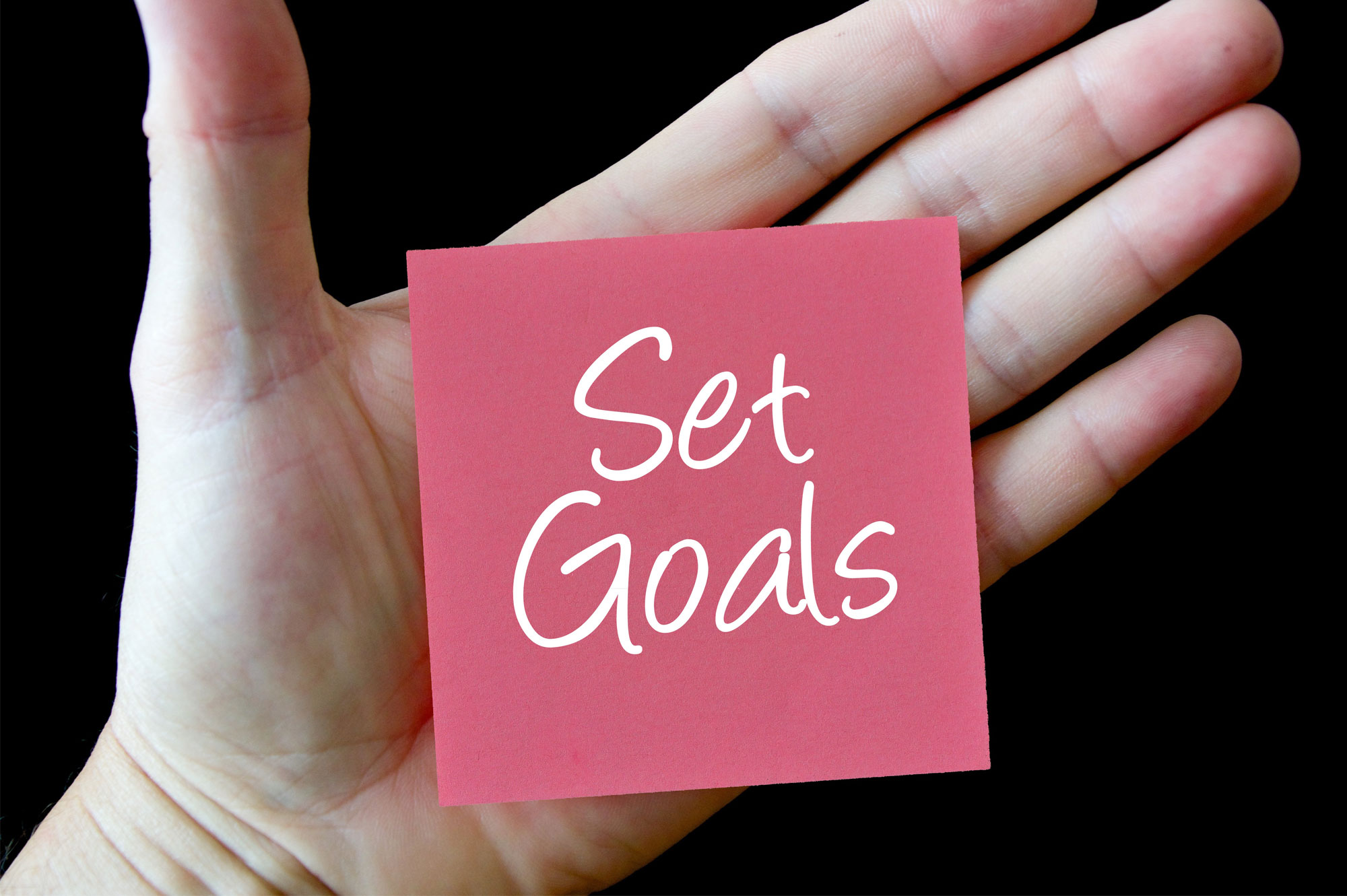 テキストテキスト / TEXT